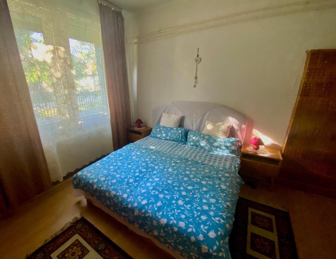 Grany'S Retro Guesthouse Near Budapest Airport Vecsés Εξωτερικό φωτογραφία