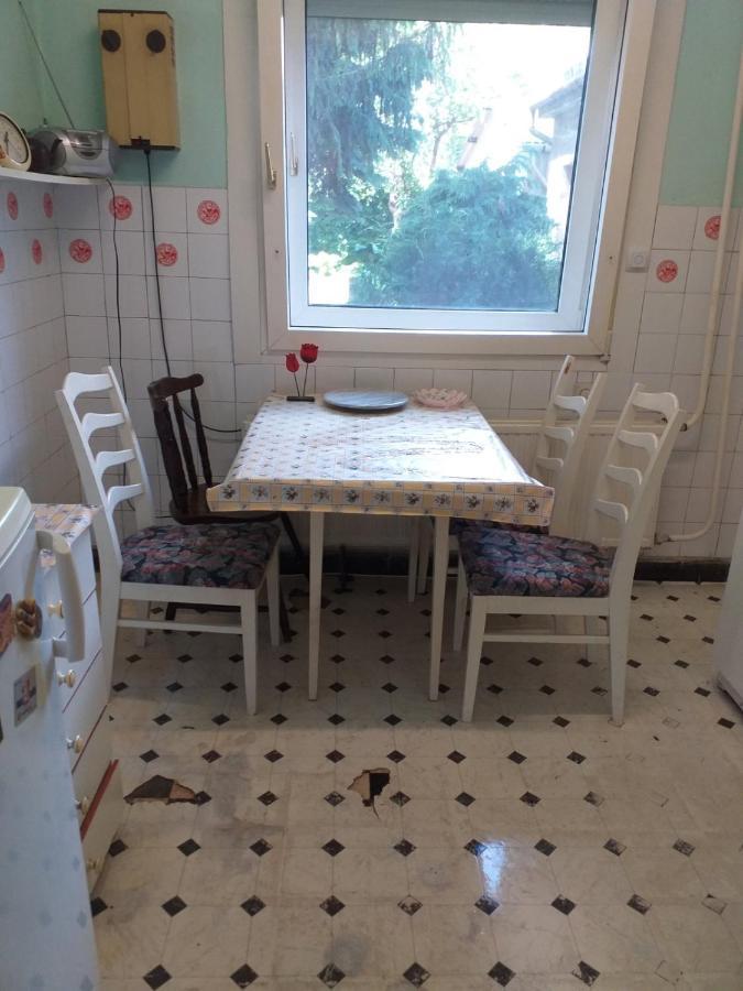 Grany'S Retro Guesthouse Near Budapest Airport Vecsés Εξωτερικό φωτογραφία