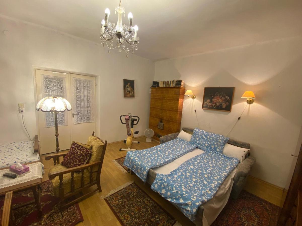 Grany'S Retro Guesthouse Near Budapest Airport Vecsés Εξωτερικό φωτογραφία