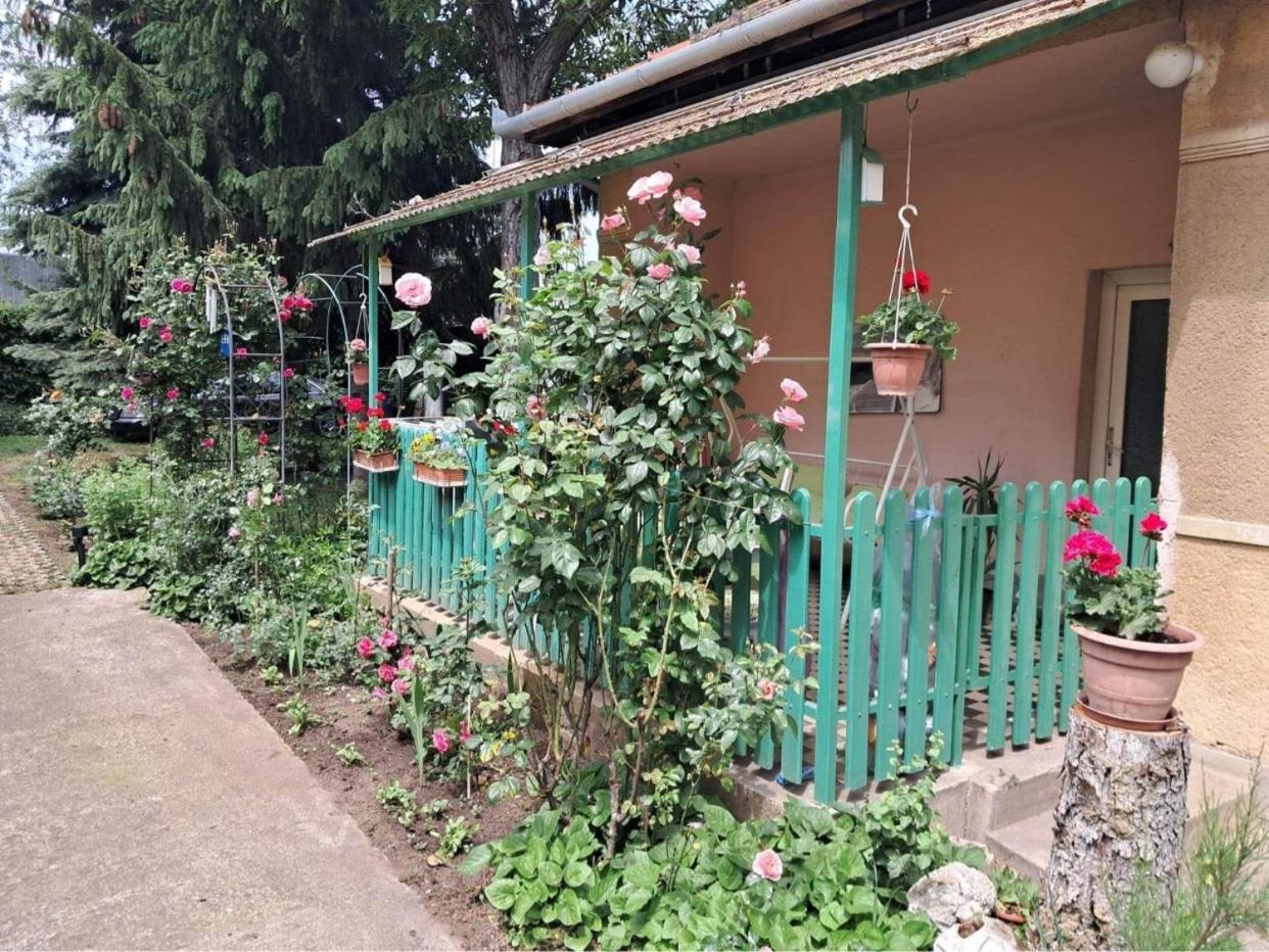 Grany'S Retro Guesthouse Near Budapest Airport Vecsés Εξωτερικό φωτογραφία